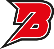 Mini logo BK Pardubice